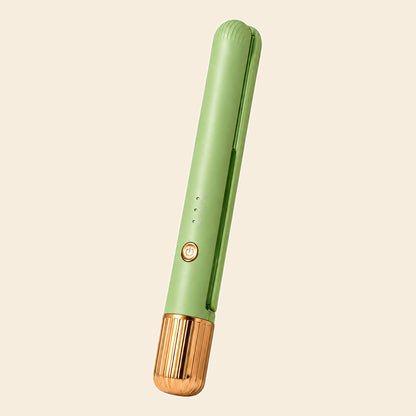 Teaifa™ 156-Flat Iron Straightener